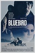 Bluebird Movie Poster (#2 of 2) - IMP Awards