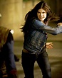 Percy Jackson & the Olympians: The Lightning Thief Picture 8