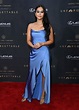 DIANNE DOAN at 18th Annual Unforgettable Gala in Beverly Hills 12/14 ...