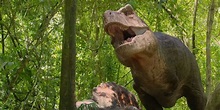 Prehistoric Planet Is Apple TV's Updated Version Of Walking With Dinosaurs