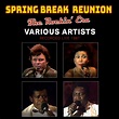 Spring Break Reunion: The Rockin' Era | Liberation Hall