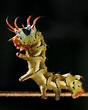 Meet the Hickory Horned Devil | Featured Creature