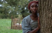 The True Story Behind the Harriet Tubman Movie | At the Smithsonian ...