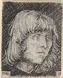 Albrecht Altdorfer | Head of a Young Man | The Metropolitan Museum of Art