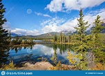 Pure Morning Air in the Rocky Mountains Stock Image - Image of green ...