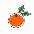 mandarina jugosa sobre un fondo blanco. Fruta. dibujo de contorno icono ...