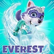 PAW Patrol Everest Mighty Pup | Everest paw patrol, Paw patrol coloring ...