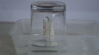 Candle Burning Under A Glass Experiment - YouTube