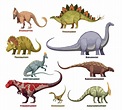 dibujos animados de dinosaurios con nombres 4216800 Vector en Vecteezy