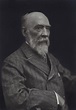 NPG x134962; Sir Robert Hart, 1st Bt - Portrait - National Portrait Gallery