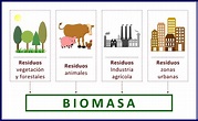 La energía de la Biomasa - Casas Ecológicas