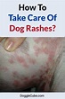 OMG! These red RASHES on my dog's skin doesn't look good and it's ...