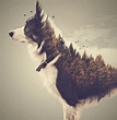 18 Excellent Examples of Double Exposure Images | Photocrowd ...