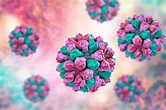 Norovirus » Ansteckungsweg, Behandlung, Vorbeugung