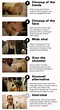 Five shot sequence: Tutorial and example | Filmmaking cinematography ...