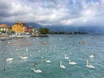 Vevey (Suíça) - 3 passeios imperdíveis em Vevey » 3em3 | Vídeos de ...