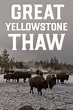 Great Yellowstone Thaw (TV Series 2017-2017) - Posters — The Movie ...