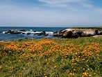 Off the couch!: Point Buchon Trail-Montana de Oro State Park