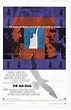 Film – Pescăruşul – The Sea Gull (1968) | magazinweb.net