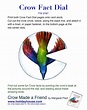 Crow Fact Dial: downloadable activity pages at http://www.margaretpeot ...