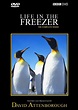 BBC Natural World Documentary Review: Download Life in the freezer ...