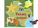 Six State Symbols of Texas