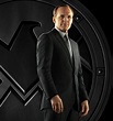 Phil Coulson - Agent Phil Coulson Photo (36087476) - Fanpop