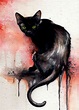 literatura: o gato preto - edgar allan poe - resumo