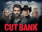 Cut Bank (2013) - Matt Shakman | Synopsis, Characteristics, Moods ...