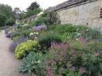 Jardín Botánico de la Universidad de Oxford, el más antiguo del Reino ...