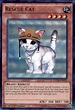 YuGiOh Duelist Saga Single Card Ultra Rare Rescue Cat DUSA-EN072 - ToyWiz