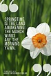 Spring Quotes To Uplift And Inspire ⋆ A Rose Tinted World
