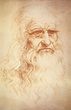 Dibujos De Leonardo Da Vinci - Nuestra Inspiración