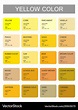Yellow color codes and names selection colors Vector Image