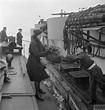 WOMEN'S ROYAL NAVAL SERVICE: WRENS WITH THE FLEET MAIL, ENGLAND, UK ...