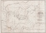 The Battle of New Orleans - Rare & Antique Maps