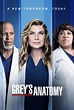 Watch Grey's Anatomy Online | Season 14 (2017) | TV Guide