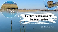 {Documentaire} Le centre de découverte du Scamandre 🦩 - YouTube