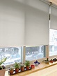 [案例] 明亮又有設計感的辦公室窗簾 －PVC防潑水捲簾 | MSBT幔室布緹 織品窗簾家飾