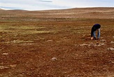 Senamhi: Perú registró 10 episodios de sequías severas en últimos 37 ...