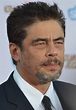 Benicio del Toro - Wikiwand