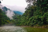 Parque Nacional Río Abiseo: visita este destino natural en San Martín