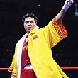 张志磊（2008年北京奥运会超重量拳击亚军）_百度百科