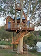 Sonoma county vineyard treehouse | Beautiful tree houses, Tree house ...