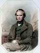 Charles Darwin (Illustration) - World History Encyclopedia