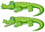 Set of crocodile character 520010 Vector Art at Vecteezy