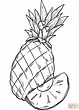 Pineapple coloring page | Free Printable Coloring Pages
