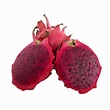 American Beauty Dragon Fruit - Hylocereus - Pitaya/Strawberry Pear - 4 ...