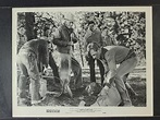 Redwood Forest Trail (1950) - IMDb