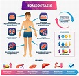 [LS1-3] Feedback Mechanisms and Homeostasis | Biology Dictionary